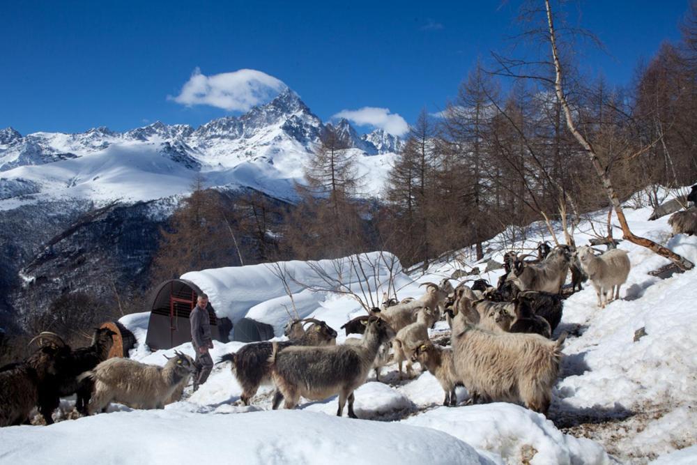 Agriturismo A Nostro Mizoun Ostana ภายนอก รูปภาพ